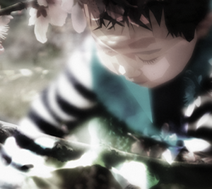 批发商城便宜的在线呼叫网页版软件