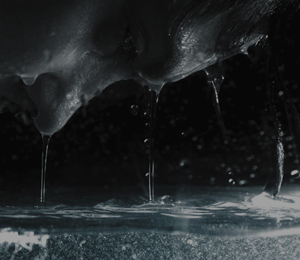 帮企业做决策的呼叫软件天天呼